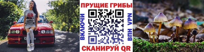 Купить  Кореновск  Галлюциногенные грибы GOLDEN TEACHER 